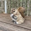 FlyEgg Lovely Squirrel Realistic Figurine for Home Garden Decoration
