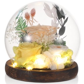 Homaisson Eternal Rose Flowers for Decoration, Preserved Flowers in Glass Dome, Forever Champagne Rose Globe with Wooden Base, Unique Dry Flower Present for Valentines Day