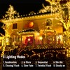Jzhi 295FT 900 LED Twinkle Lights Christmas Lights Outdoor, LED