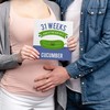 Maternity Weekly Milestone Photo Props / 9" x 9" Modern