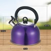 Buckingham Stainless Steel Whistling Kettle Metallic Purple with Cool Touch