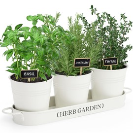 PERFNIQUE Indoor Herb Garden, Herb Garden Planter for Indoor/Outdoor, Farmhouse Plant Pots, Windowsill Herb Garden with Tray(Planter only) Window Pots