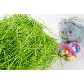 FRILLZ Skinny-Cut Shredded Paper for Gifts & Easter Baskets - Protective, Reusable Paper Shred for Basket Filler - Grass Look (1/2 pound, Lime Green)