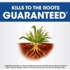 Roundup Weed and Grass Killer III Ready-to-Use Pump 'N Go