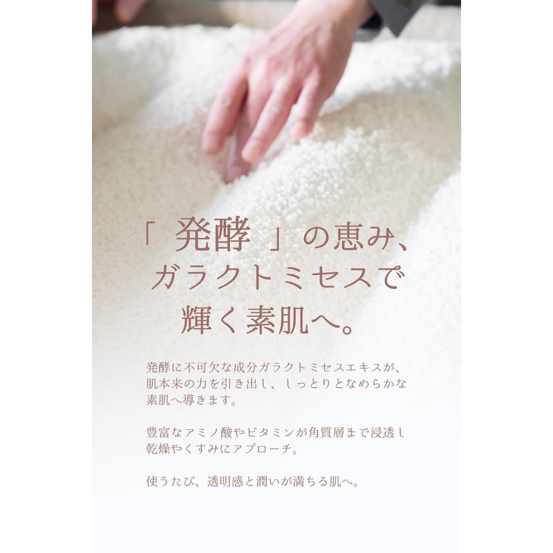 Ruban Lotion, Moisturizing Lotion, Aging Care x Galactomyces x Fullerene,