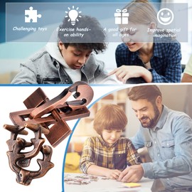 Joyeee Brain Teaser Puzzles, Metal Puzzle Set IQ Test Game, Educational Toys Physics Mind Puzzles Gift for Family Games Office Party Prizes Kids Teens Adults Challenge - Starter Level, 5Pcs Type D