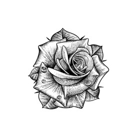 5X2Y Tattoo Tech, Long Lasting Temporary Tattoos, Last 1-2 Weeks, Waterproof, Semi Permanent Tattoo, Realistic look, No Adhesive, No reflection (Femenine Rose)