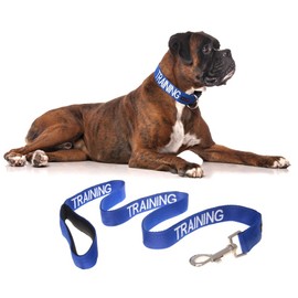 TRAINING (Dog In Training/Do Not Disturb) Blue Colour Coded S-M L-XL Dog Collar and 60cm 1.2m 1.8m or 2m Multi-use Luxury Neoprene Padded Handle Lead Sets PREVENTS Accidents By Warning Others Of Your Dog In Advance (L-XL & 1.2m)