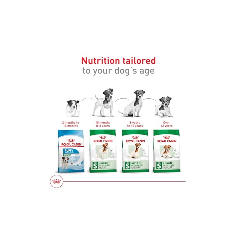 ROYAL CANIN, Adult - Small +8, Croquetas para Perro, 1.1kg