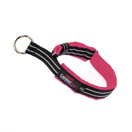 ComfortFlex Martingale Dog Collar - 1.5" Wide, Reflective, Adjustable, Fully Padded Nylon, Gentle Control, Escape-Proof, Limited Slip Design, Made in The USA, Large, Berry