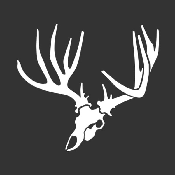 Angled Mule Deer Decal - Mule Deer Skull Sticker -