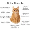 Vivid Arts Sitting Cats (Ginger Cat)