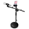 Microphone Stand Desk Adjustable Desktop Microphone Stand with Boom Arm
