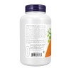 NOW Green Tea Extract 400 mg, 250 Count