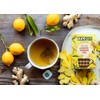 Puregro Herbal Lemon Ginger Tea 40g | 20 Tea Bags