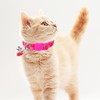 CWPFVQA Pack of 3 Fruit Pet Collar, Kitten Collar, Pink
