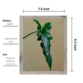 Scholartree Grey 8x10 Picture Frame set of 4, Display 8x10 without Mat Wall Gallery Photo Frames