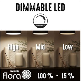 Dimmable & Light Temp Adjustable - LED Indoor Spot Light For Plants & Accent Lighting - Uplight & Down Spotlight for Potted Plants Home & Living Room (3W LED) 110V Lamp, Plug for Indoor Wall