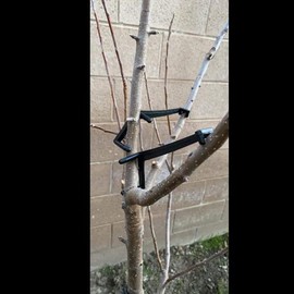 Cunguv 50Pieces Fruit Tree Branch Limb Spreader for Strong Spreading Crotch Angles Branches,Plastic Bonsai Branch Trunk Spreaders Modelling Tool Black