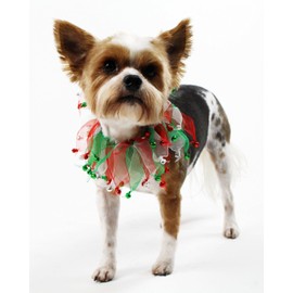 Midlee Christmas Jingle Bells Decorative Dog Collar (X-Large)