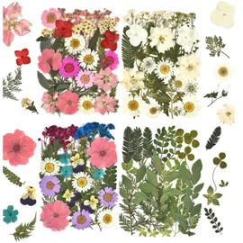 DALARAN Dried Flowers for Resin 100pcs Natural Flowers and Leaves Compressed Vacuum Packed DIY Pressed Flowers for Epoxy Jewelry Candles Soap Nail Production