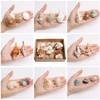 21PCS Hermit Crab Shells Large Medium Small | Sea Conch