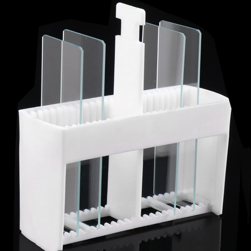 Microscope Slides with Plastic Covered 24 Pieces of Microscope Plastic