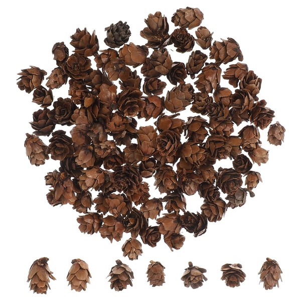 MAGICLULU 100 Pcs Pine Cone Decorations Christmas Tree Decorations Dried