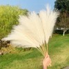 5 Pcs 27.6" Pampas Grass Decor Faux Dried Fluffy Fake