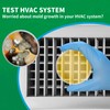 Mold Test Kit for Home - 1 Simple Mold Test