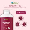 Wellthy Berberina Pura 300 Cápsulas. 100 Berberis Aristata, 500mg cu,