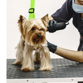 Yuelulala Dog Grooming Belly Strap Adjustable Grooming Restraint Loop Pet Neck Haunch Holder Dog Grooming Extension Grooming Table Arm Accessories for Small Medium Dog Adjustable Table Rope (A110-1）