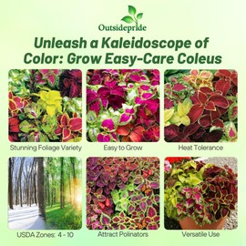 Outsidepride Rainbow Mix Coleus Seeds for Planting - 5000 Pcs Annual, Compact, & Easy to Grow, Flower Seeds with Serrated Foliage, Ideal for Shaded Areas, Containers, Borders, & Gardens