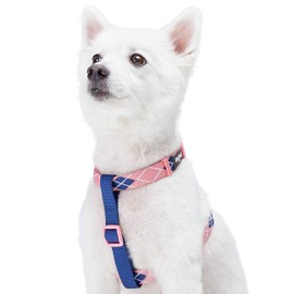Blueberry Pet Scottish Argyle Dog Harness, Pink, Small, Adjustable Harnesses for Dogs