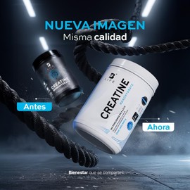 B Life Creatina Monohidratada en polvo 600g 120 Servicios 5 g por porción Alta Pureza Creatine Monohydrate.