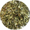 Jasmine Silver Needle White Tea,best white tea with all tippy-