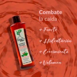 Shampoo Anticaída de Romero Árbol Verde 500ml Natural para Crecimiento Capilar Sábila y Espinosilla Fortalecedor, Reduce Quiebre Uso Diario Todo Tipo 