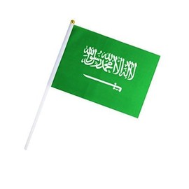 10 Pack Saudi Arabia Saudi Arabian Flags on Stick 5x8 Inch,Patriotic Decorations,Classroom Decor,Small Mini Flags on Sticks,Flag Decorations for Party.