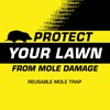 Tomcat Mole Trap, Innovative And Effective Mole Remover Trap Kills