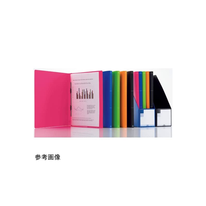 Lion Office Equipment PP Flat File Minano Black F-51M
