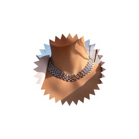 Wendalern Silver Chunky Chain Necklace Simple Bib Collar Necklace Thick Geometric Chain Collarbone Necklace Table Chain Statement Necklace Hip Hop Jewelry for Women Girls