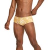 Speedo Men's Standard Swimsuit Euro Brief Endurance Printed, Abstract Tiger