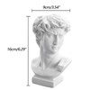 David Statue Flower Vase, David Head Bust Sculpture Planter, Resin