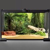 AWERT 72x16 inches Forest Terrarium Background Stone Green Huge Tree