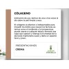 Crema De Colágeno