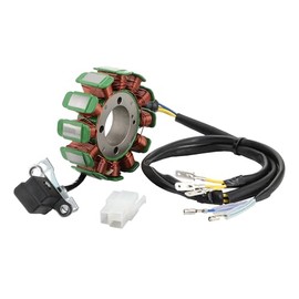 STATOOK 12 Coil 5 Wire Magneto Stator Compatible with 250cc Scooter ATV Dirt Go Kart Pit Bike 4 Wheeler Quad Buggy