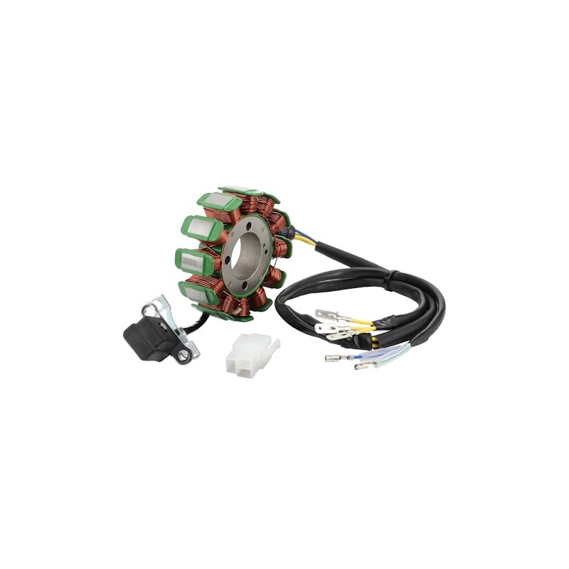 STATOOK 12 Coil 5 Wire Magneto Stator Compatible with 250cc