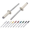 (Pack of 80) Varnished Blind Rivets 4.0 x 14 mm,