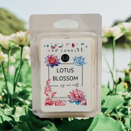 3 PACK Lotus Blossom Wax Melt Made In USA Fragrance Melts Tarts Luxury Premium Soy 3 2.4 ox Clean Ingredients Essential Oils Hand Poured Cubes Long Lasting Strong Scent