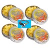 Retro Sours Hard Tangy Candy 4ct Mango Flavored Tins 8.48oz